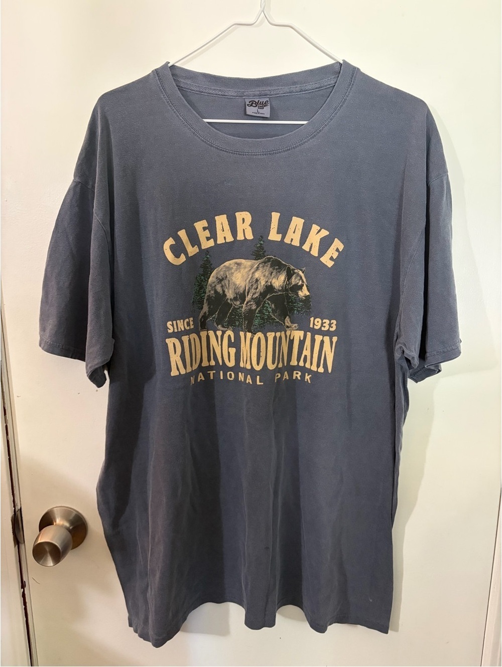 NWOT Men’s Blue 84 Large Clear Lake Riding Mountain Graphic Tee In Blue Tote12